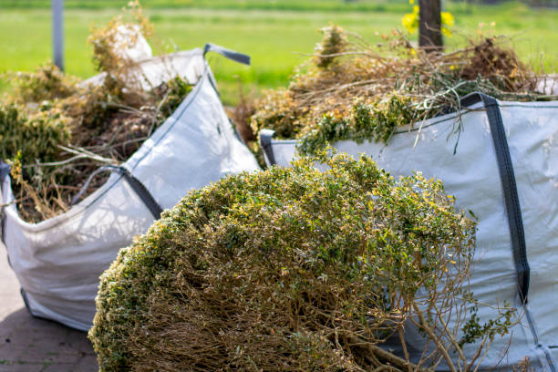 Best Commercial Junk Removal  in Thorndale, PA